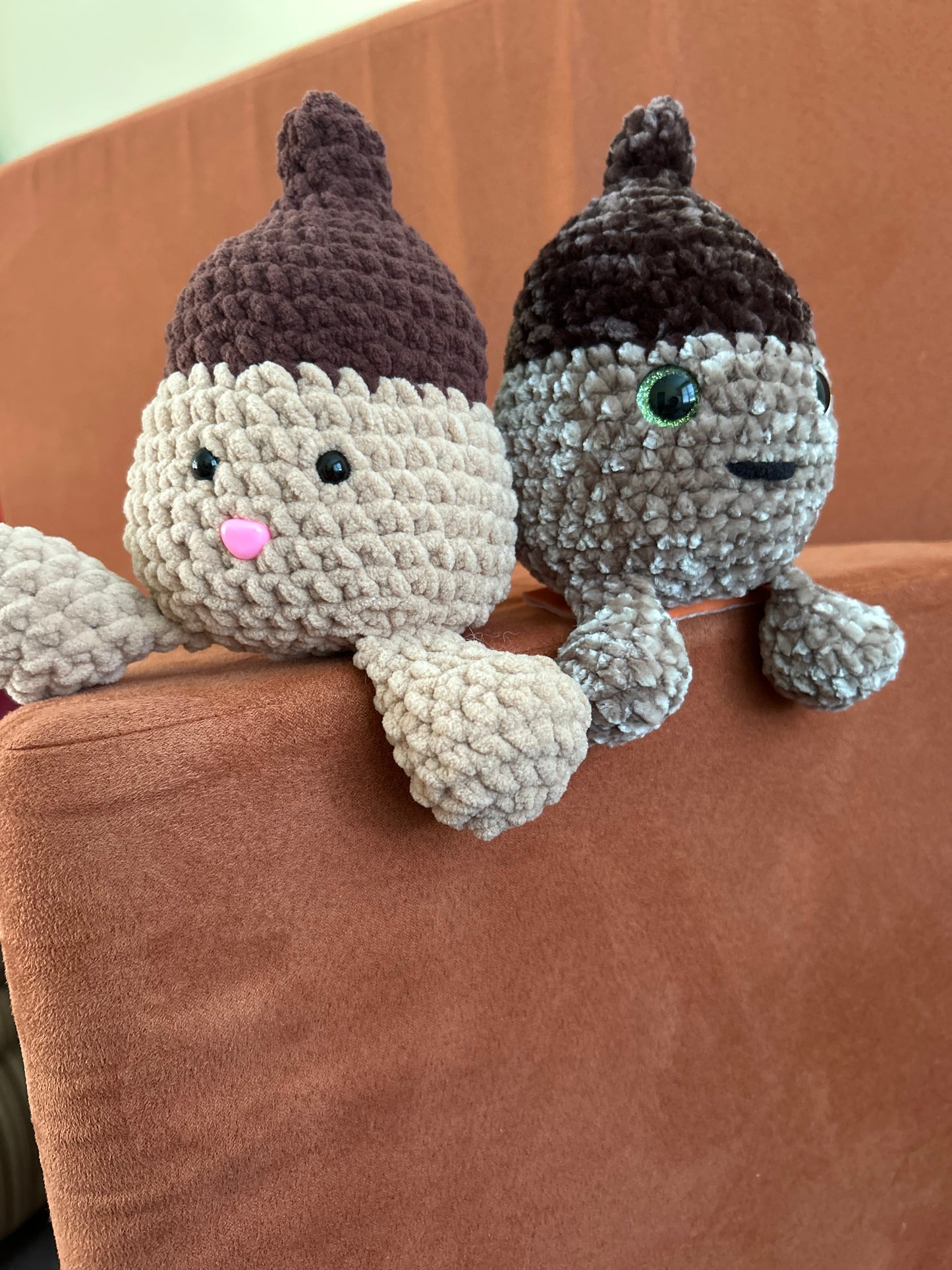 Arnold the Acorn