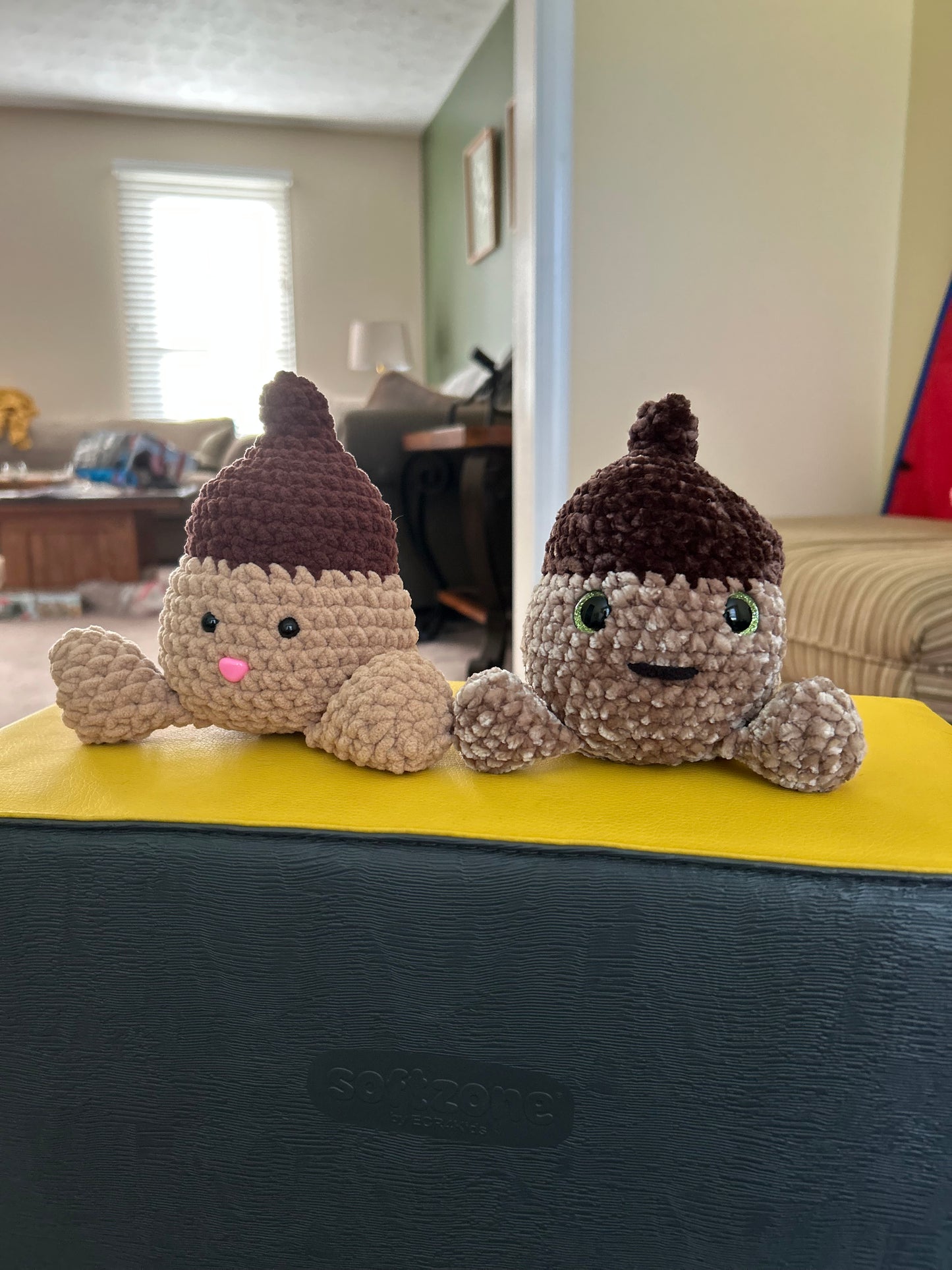 Arnold the Acorn