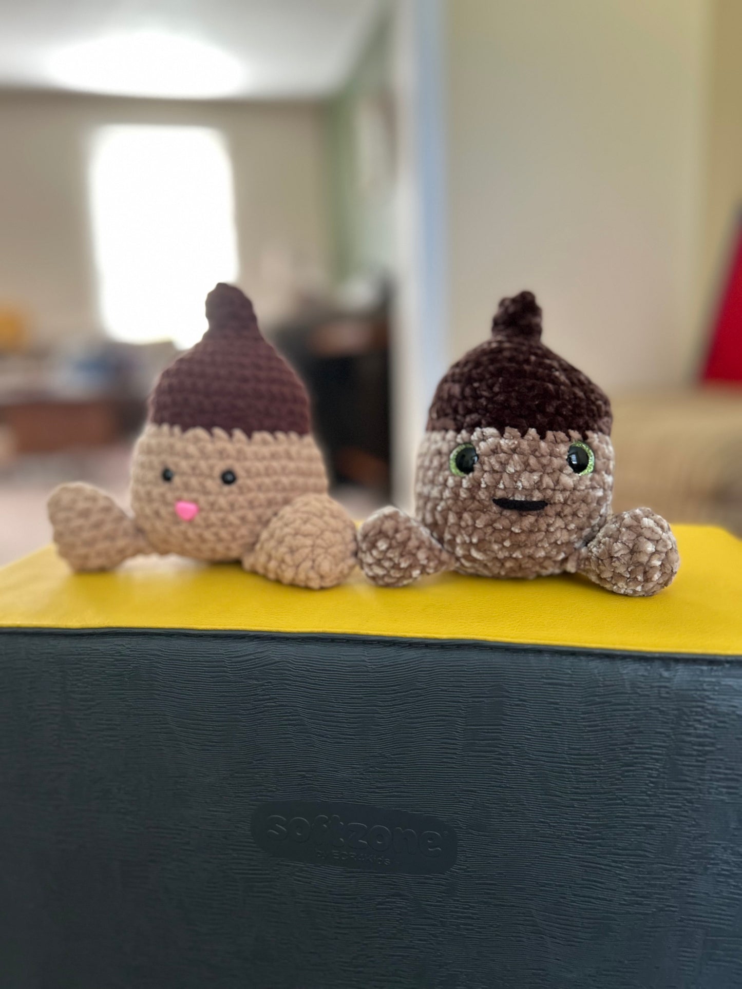 Arnold the Acorn