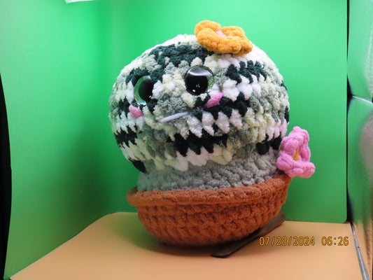 CUSTOM ORDER: Barrell Cactus Buddy