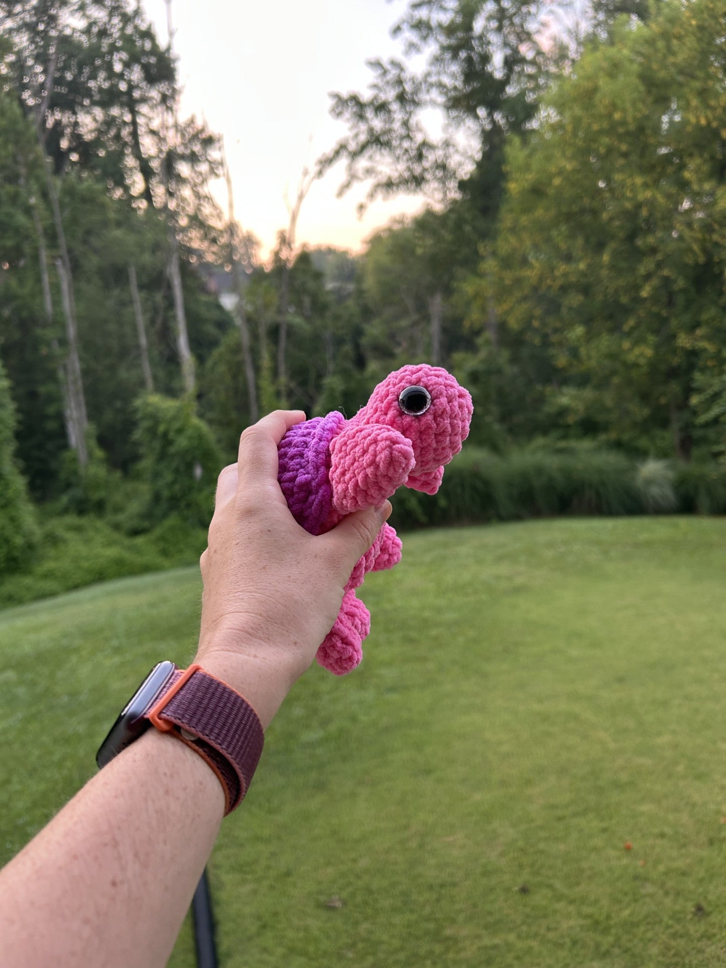 Small Crochet Turtle: Pink and Purple