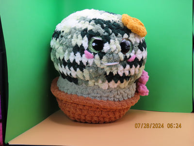 Barrell Cactus Buddy