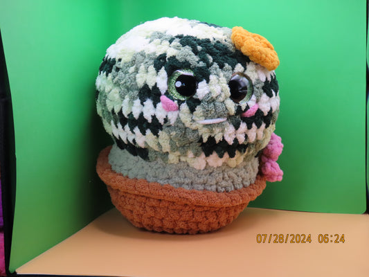 Barrell Cactus Buddy