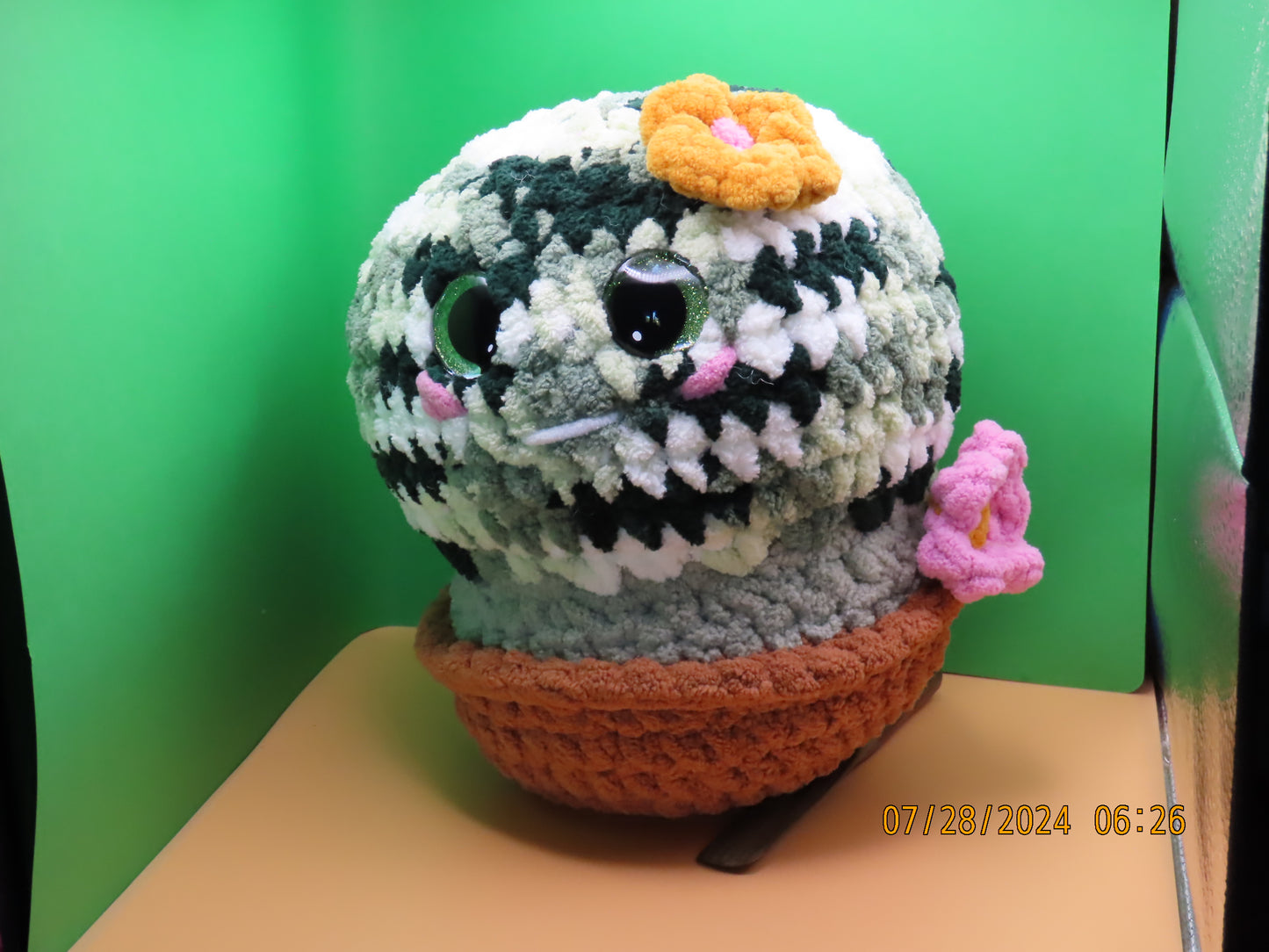 CUSTOM ORDER: Barrell Cactus Buddy
