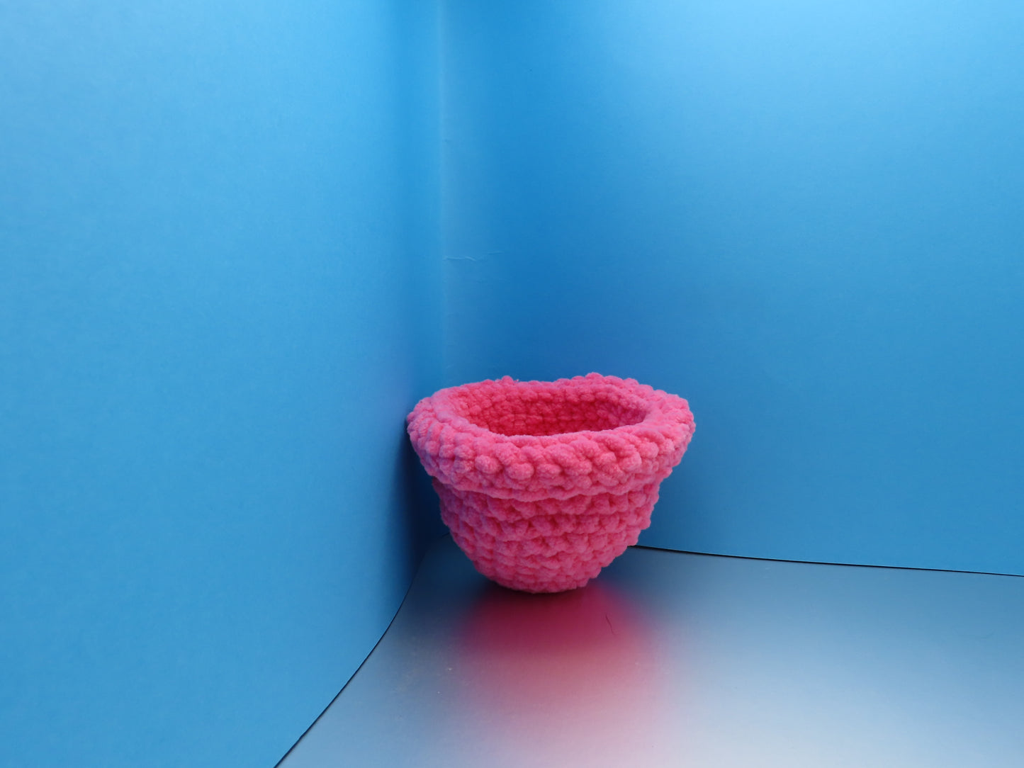 Peek-a-boo Plant: Flower Power Bulb Buddy!