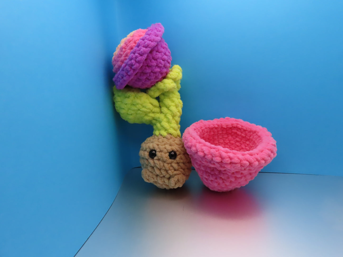 Peek-a-boo Plant: Flower Power Bulb Buddy!