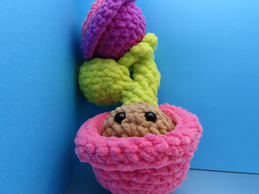 Peek-a-boo Plant: Flower Power Bulb Buddy!