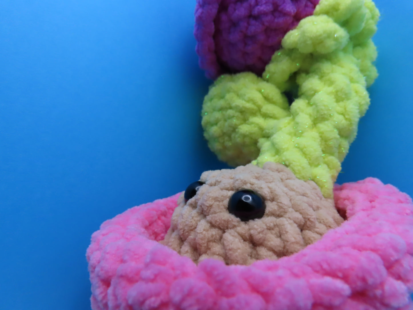 Peek-a-boo Plant: Flower Power Bulb Buddy!