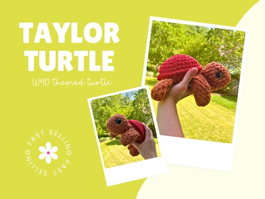 Taylor Turtle: Red and Brown Terrapin