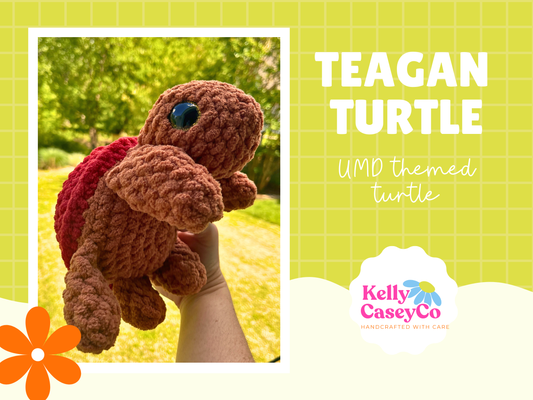 Taylor Turtle: Red and Brown Terrapin